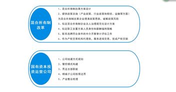 國企改革咨詢服務(wù) 助力企業(yè)轉(zhuǎn)型的信息支撐